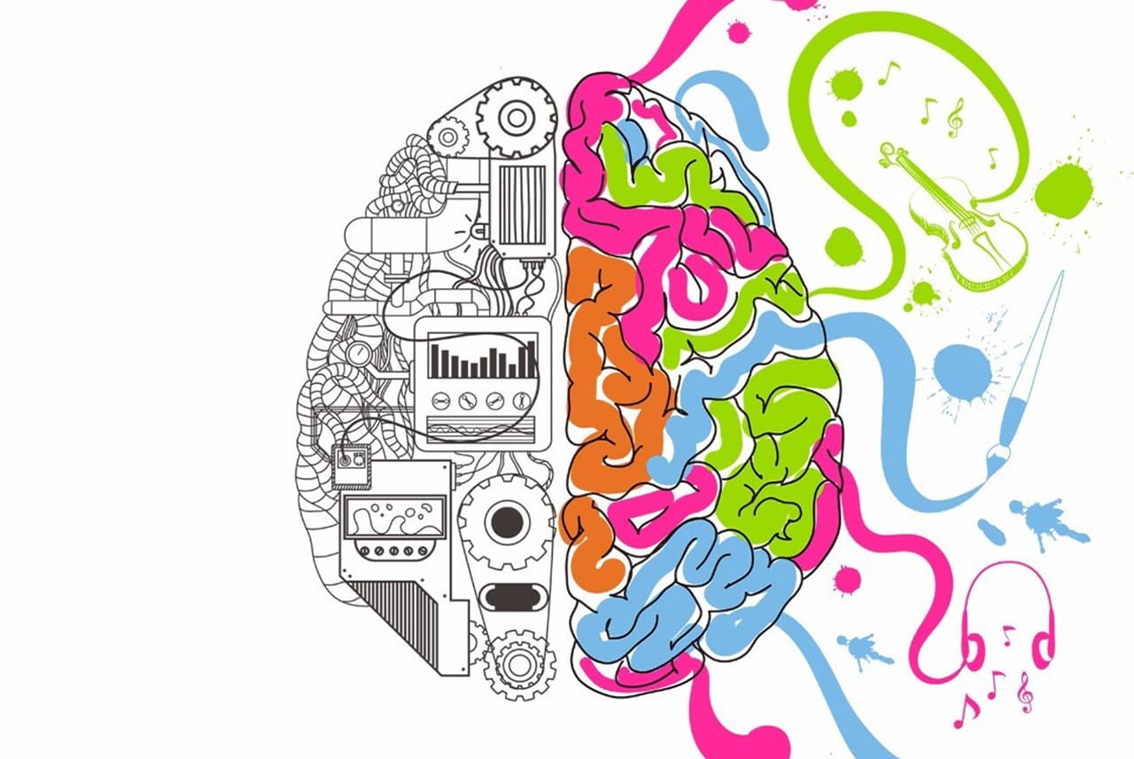 Neuroplasticità
